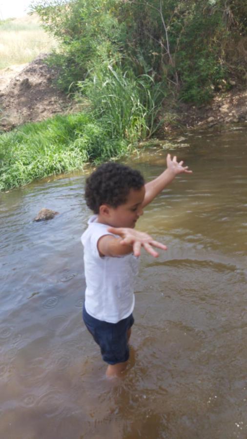 בין הר למעיין Lägenhet Kfar Tavor Exteriör bild