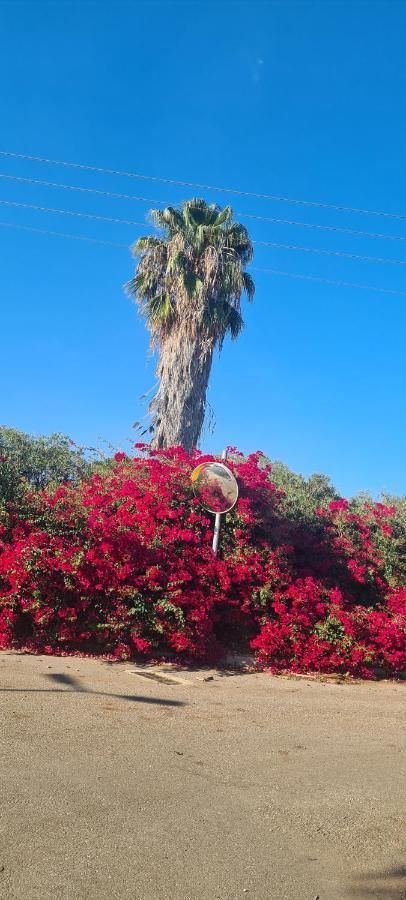 בין הר למעיין Lägenhet Kfar Tavor Exteriör bild